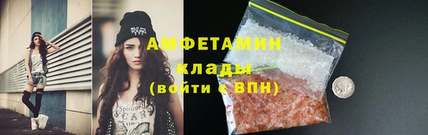 сатива Баксан