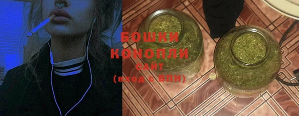 сатива Баксан