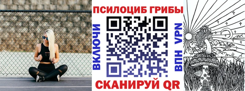 дарк нет какой сайт  mega онион  Белый  где купить наркотик  Галлюциногенные грибы мицелий 
